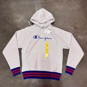 champion men's hoodie